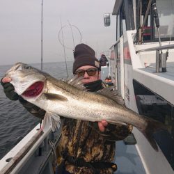 深川 吉野屋 釣果