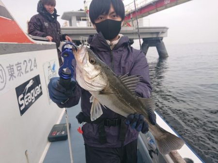 深川 吉野屋 釣果