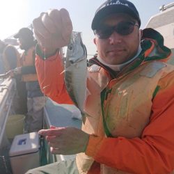 深川 吉野屋 釣果