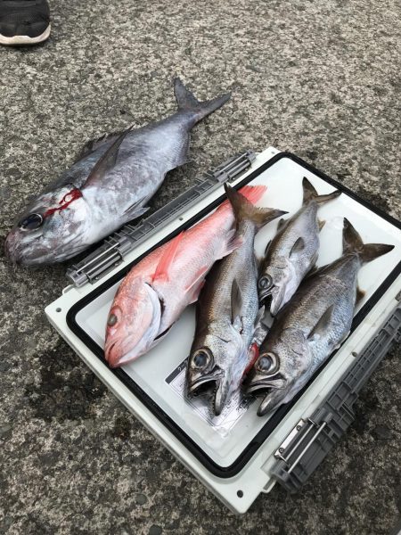 もと明丸 釣果