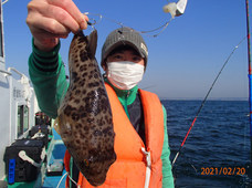 七福丸 釣果