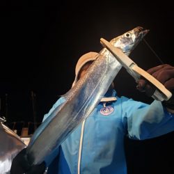 舵丸 釣果