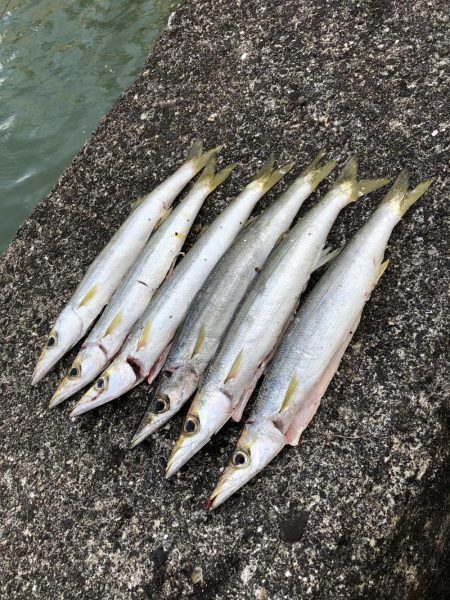 もう終わりかな