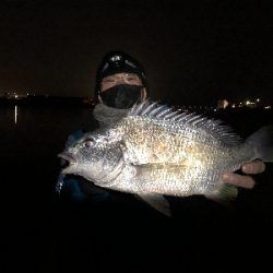 シーバスどこ行った(笑)