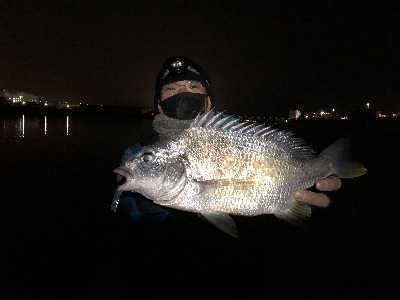 シーバスどこ行った(笑)