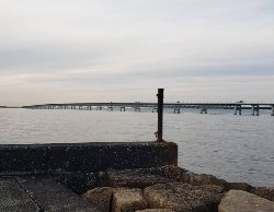 アジいるかな？