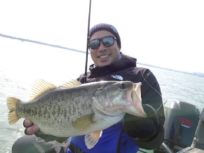 シャローパターン