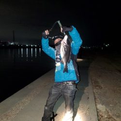 歳無し出ました❗