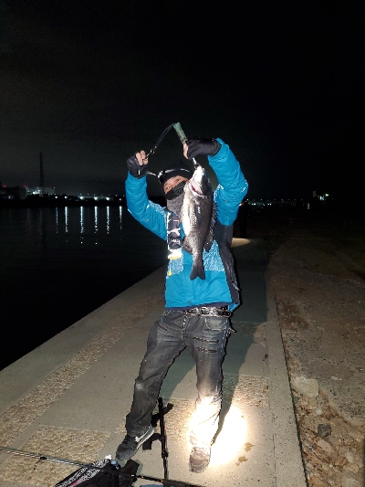 歳無し出ました❗