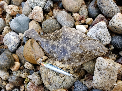 雨風がなかなか