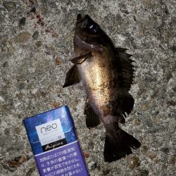 お祭り騒ぎ状態！