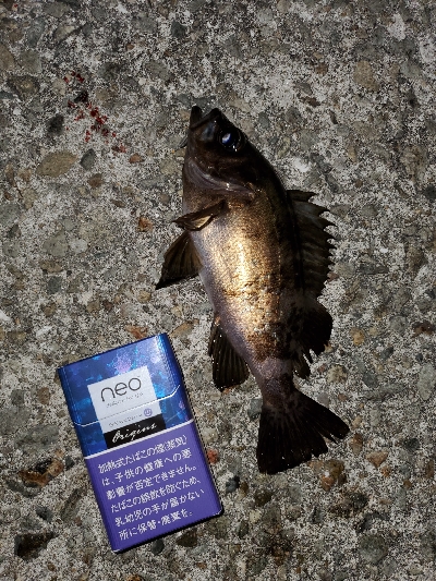 お祭り騒ぎ状態！