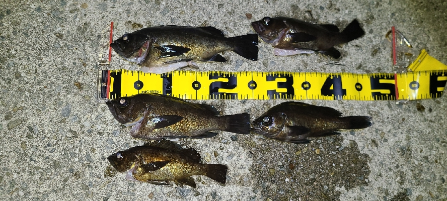 フロートメバリング