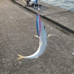 ターゲットだけライトなショアジギング。