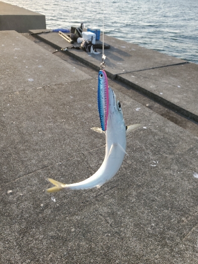 ターゲットだけライトなショアジギング。