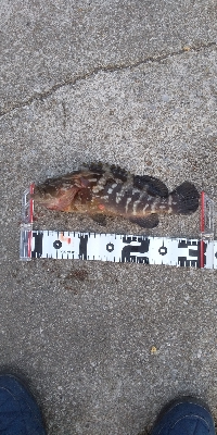 渋い中で何とか