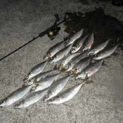 タイミングよく、ツ抜け