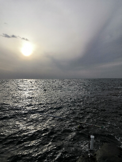 ヤエン釣行2日目