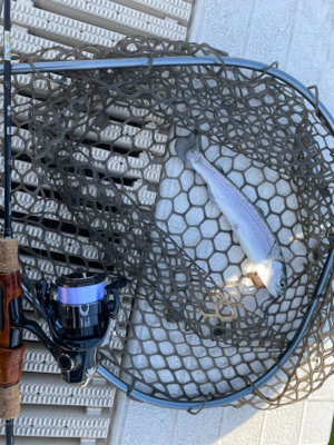 気温が暑い、服部緑地