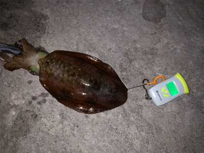 キロアップが釣りたい。