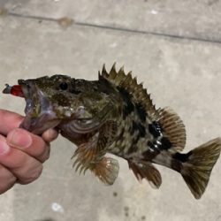 ガシラマンション