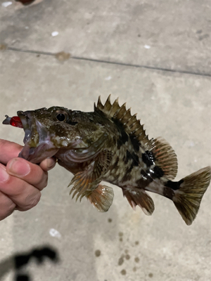 ガシラマンション