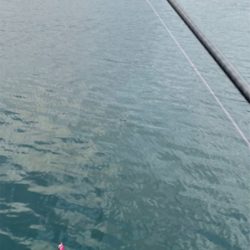 爆風予報の釣行で…