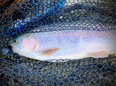 岸和田フィッシングパーク