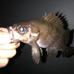 ありがとうございます！