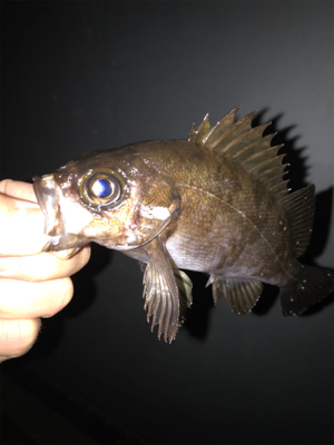 ありがとうございます！