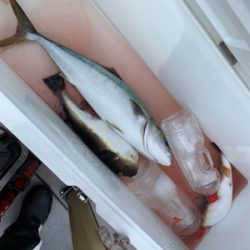 丹後沖ジギング