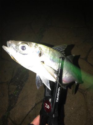 リベンジ成功！