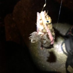 なかなか乗せられず…