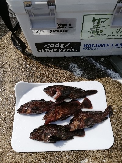 癒やしの穴釣り