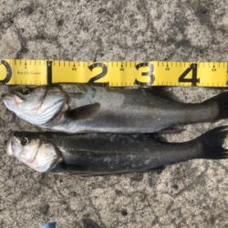 皆様のおかげです。