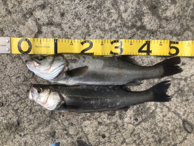 皆様のおかげです。