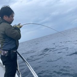 トンボジギング初挑戦