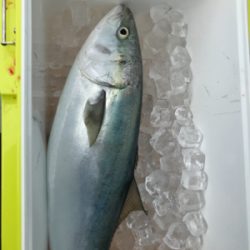 激ハードジギング