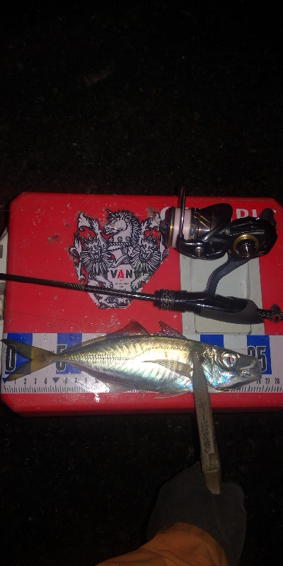 アジング練習 252 鱗付け 21カルディアFC LT1000S