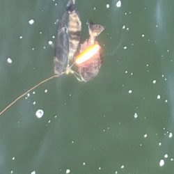 スリットの洗礼