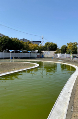 岸和田フィッシングパーク