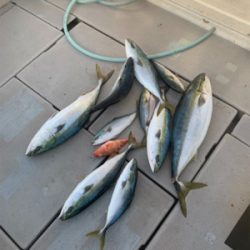 丹後沖ジギング