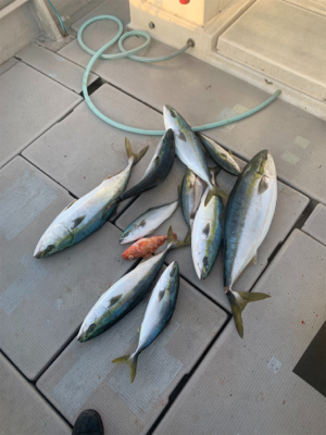 丹後沖ジギング