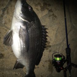 アジングでっ！