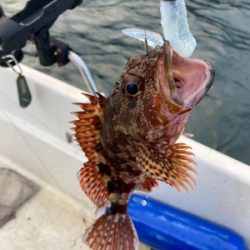 ボートワーミング