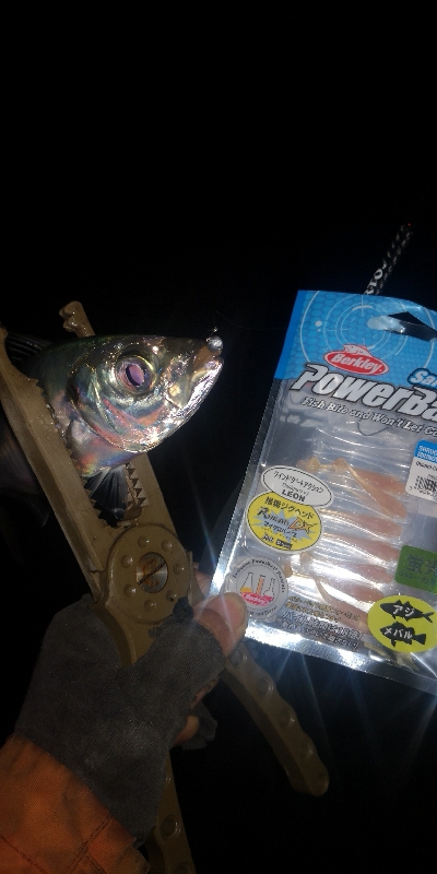 アジング練習 254