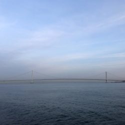 シブい時は安定の•••