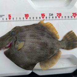 山下丸　カワハギ