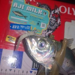 アジング練習 255 アジミルク インクスベイティ