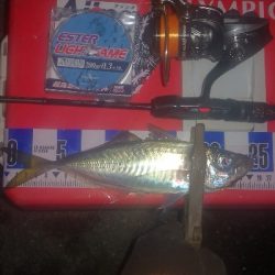 アジング練習 256 ヤマトヨ エステルライトゲーム